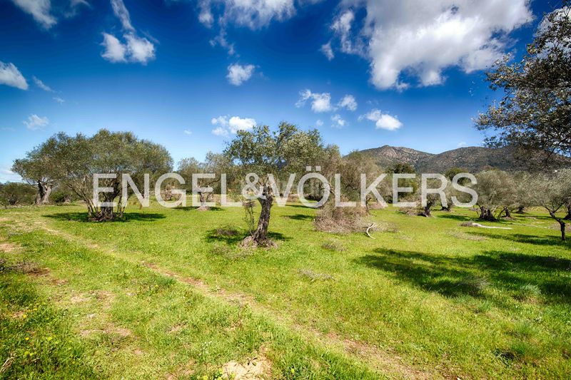 Foto a95a2635-eaec-4b9a-8ecd-ce49e920905e. Masia a Nord Roses