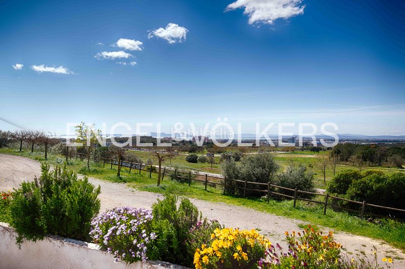 Foto f41c7b83-af51-4333-8c9c-b2f9d1e20426. Masia a Nord Roses