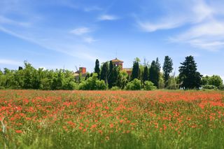 Casa  Vial camino. Majestuosa finca modernista con carácter histórico en castelló d