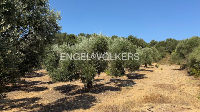 Foto 28f2f382-5208-403c-b04b-92daf132d3bd. Finca rústica a n/a a Pedret i Marzà