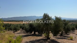 Finca rústica  N/a. Olivar en pedret i marzà - exclusiva