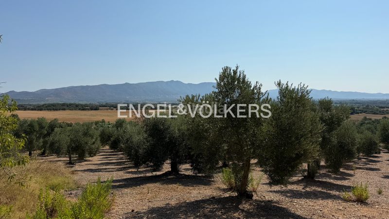 Foto 5f2b44a3-de41-4fd6-949d-da9c4a13b327. Finca rústica a n/a a Pedret i Marzà