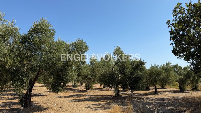 Foto 6b37b742-8127-48aa-ab64-9a2f09d67c54. Finca rústica a n/a a Pedret i Marzà