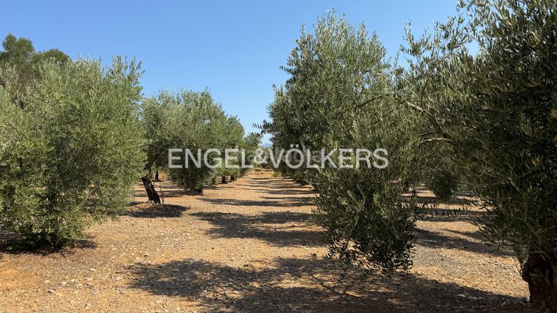 Foto 6fce7f70-a02f-4bd1-b43d-f1ba329be58d. Finca rústica a n/a a Pedret i Marzà