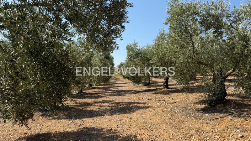 Foto 8cfef96d-653f-47f4-9d2f-1f31354318f4. Finca rústica a n/a a Pedret i Marzà