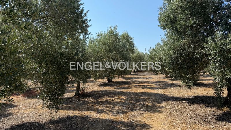 Foto c1f088b0-6f05-4180-91d6-0b8ba0300761. Finca rústica a n/a a Pedret i Marzà