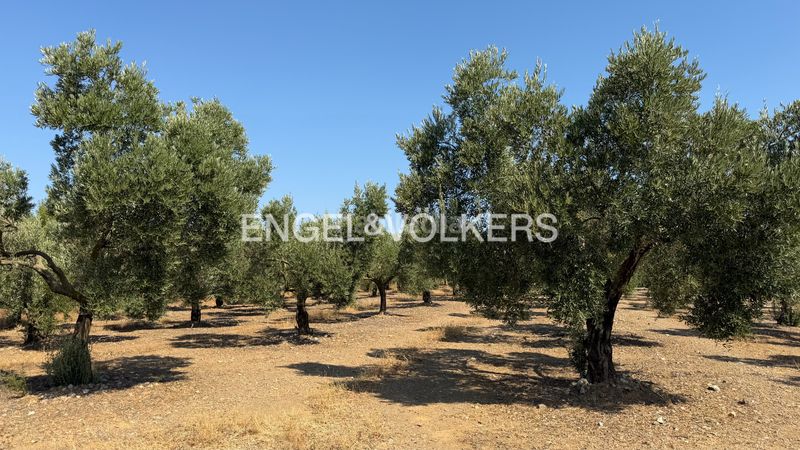 Foto f4104bef-99c8-49fe-8a4c-34ebbecdd840. Finca rústica a n/a a Pedret i Marzà