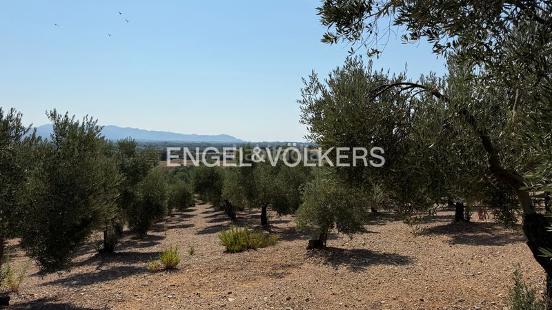 Foto f9ddf67a-ed6d-4bc2-87af-dcb6dff649ba. Finca rústica a n/a a Pedret i Marzà
