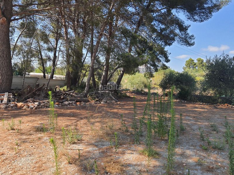 Foto 0cfc8a91-5a91-49a6-b0d0-232a337024ff. Finca rústica a Bonmont Terres Noves Mont-roig del Camp