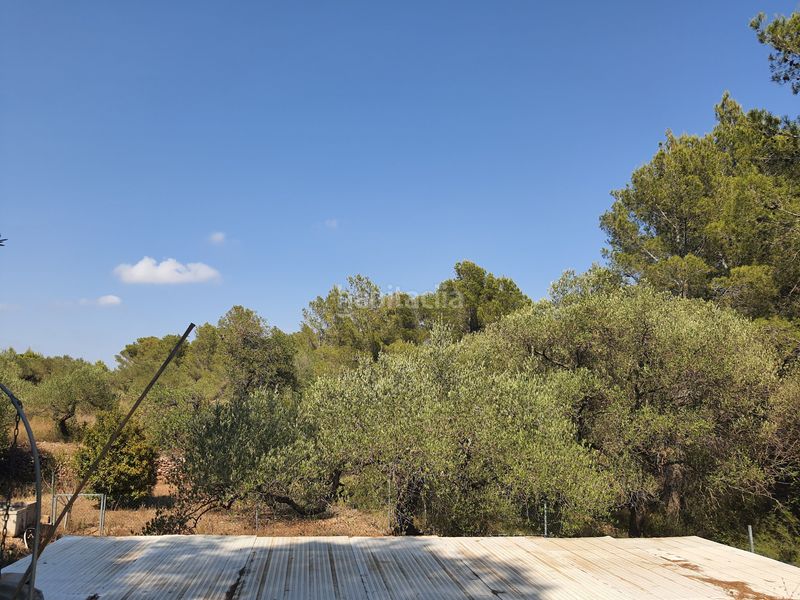 Foto c73582c4-4a5c-41cf-933f-593436809668. Finca rústica a Bonmont Terres Noves Mont-roig del Camp