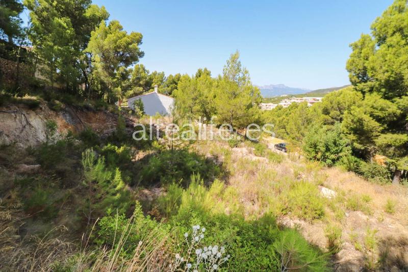Foto 27eb625a-38ed-41d1-bd23-5ba80125f0ad. Terrain résidentiel dans Altea la vella Altea