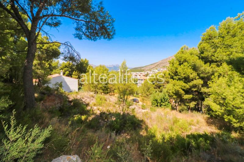 Foto 7c6529ab-c386-4153-b222-b62bb1ac8fdf. Terrain résidentiel dans Altea la vella Altea