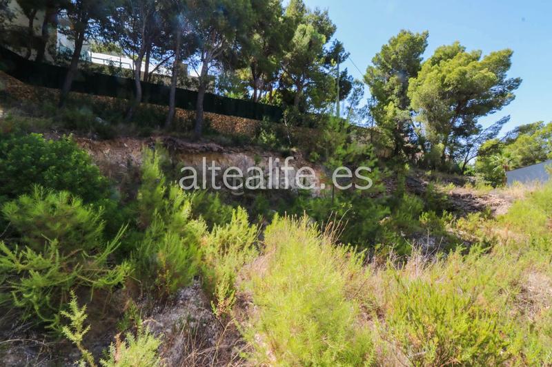 Foto ea77c0ba-faed-467b-ab02-560ac4e28c12. Terrain résidentiel dans Altea la vella Altea