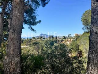 Terreny residencial  Calle el capsot. Parcela urbana de 1591 m2 en la zona de galera de las palmeras