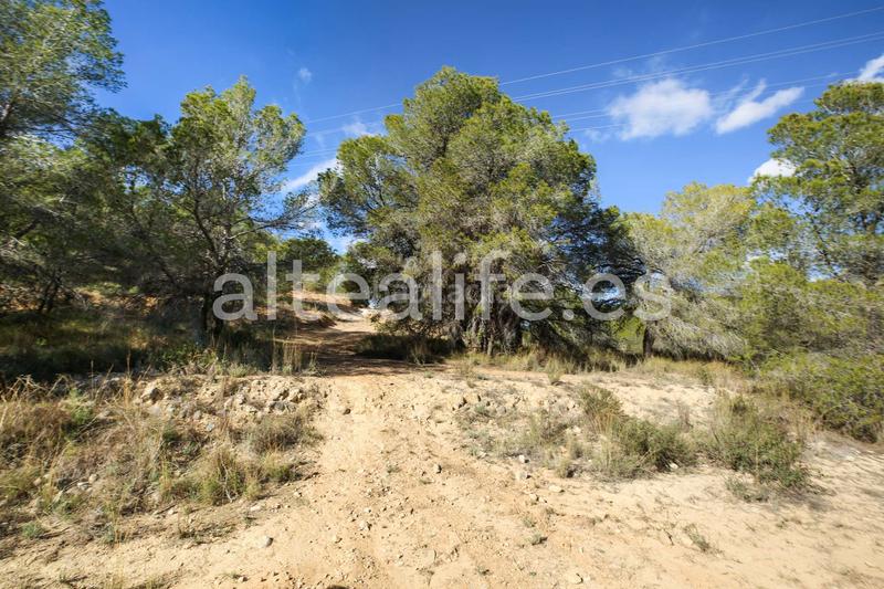Foto 2208e552-6f9c-4bdf-9c27-60685e57cb4d. Fondo rustico in Altea ciudad Altea