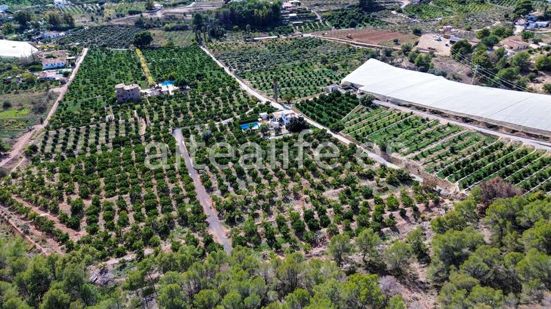 Foto 2985bb3b-c2e8-4540-abd8-12d6016d65b4. Fondo rustico in Altea ciudad Altea