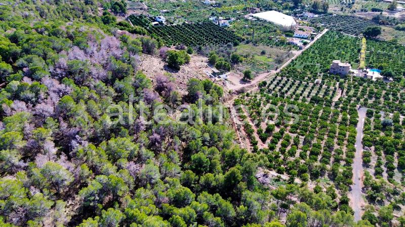 Foto 2bdb17a8-cf34-470c-882a-9c784e597855. Fondo rustico in Altea ciudad Altea