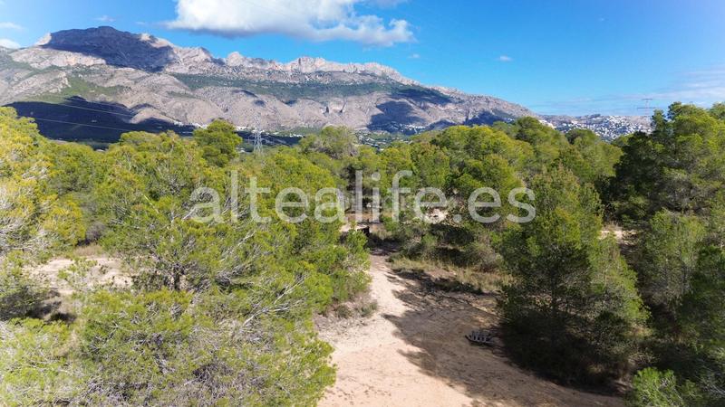 Foto 368b3aee-18ea-4b87-92c7-79bb3a01da8b. Fondo rustico in Altea ciudad Altea