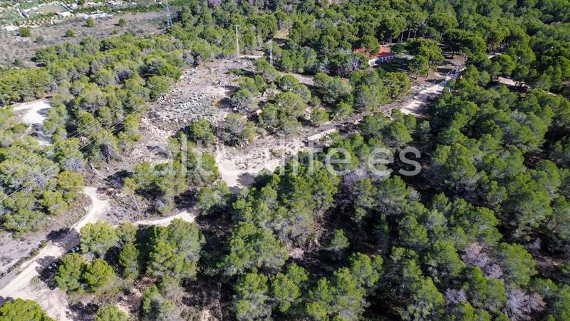 Foto 47a09e9f-4c8e-4375-af33-2038e4d9e8b1. Fondo rustico in Altea ciudad Altea