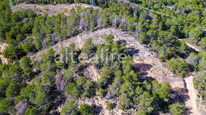 Foto 4d5a1cfd-bb2a-40f4-9223-a1959cdd9111. Fondo rustico in Altea ciudad Altea