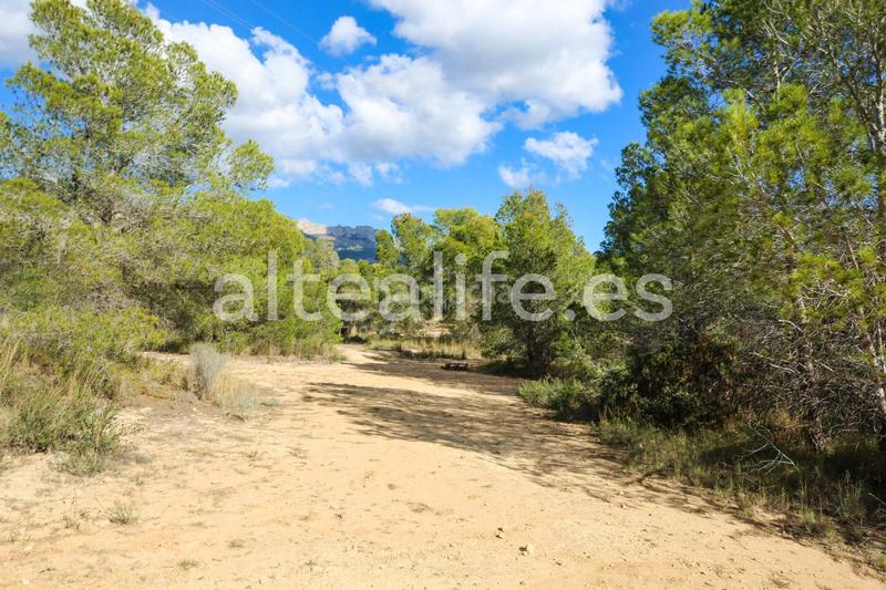 Foto 526c23b5-582a-4826-b2f4-8e35de3c3194. Fondo rustico in Altea ciudad Altea