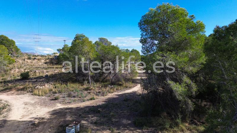 Foto 5ce6a314-2187-40e8-a268-1db872b867f3. Fondo rustico in Altea ciudad Altea