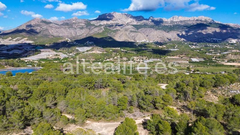 Foto 9490a38f-f69d-4893-af0f-1d9573c141c5. Fondo rustico in Altea ciudad Altea