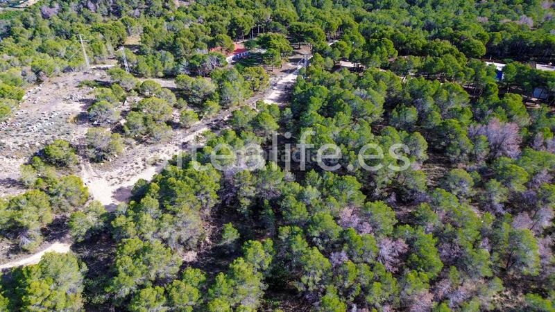 Foto 9b821865-b25c-4852-bbe6-b496c8e1a649. Fondo rustico in Altea ciudad Altea