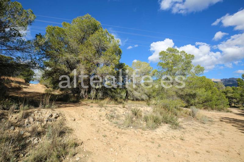 Foto ab5f6dce-d8bb-4a98-9ec0-3c54d4885dc5. Fondo rustico in Altea ciudad Altea