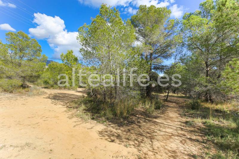 Foto b8805223-c96f-4dd3-9371-6785c75e4ab3. Fondo rustico in Altea ciudad Altea