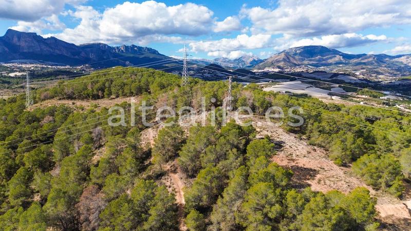 Foto c2dbddbf-620f-4216-b9c6-f2af44c35803. Fondo rustico in Altea ciudad Altea