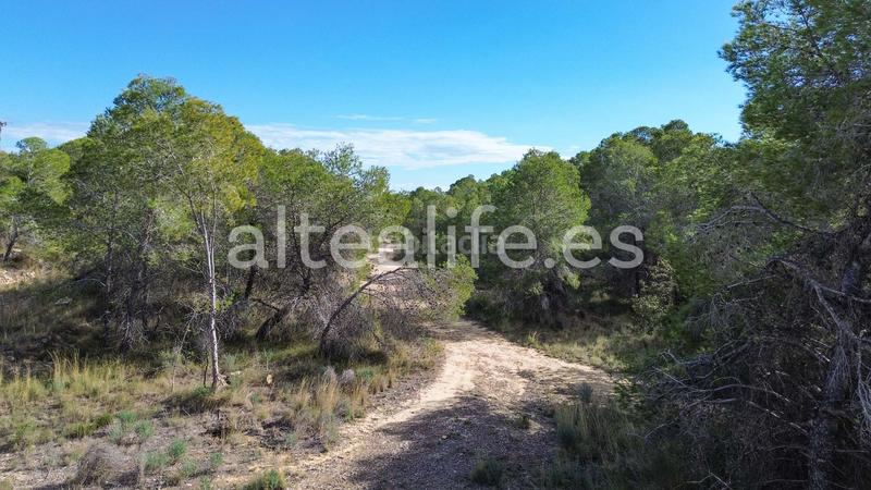 Foto c81caebf-1801-4355-96f1-061756117d36. Fondo rustico in Altea ciudad Altea