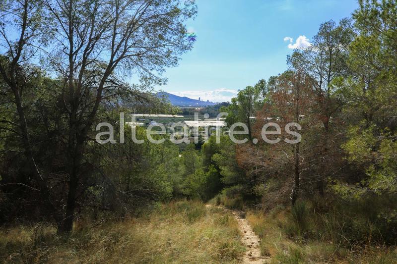 Foto cadb9e16-1ea5-45a8-9bc5-fbe4c755aae3. Fondo rustico in Altea ciudad Altea