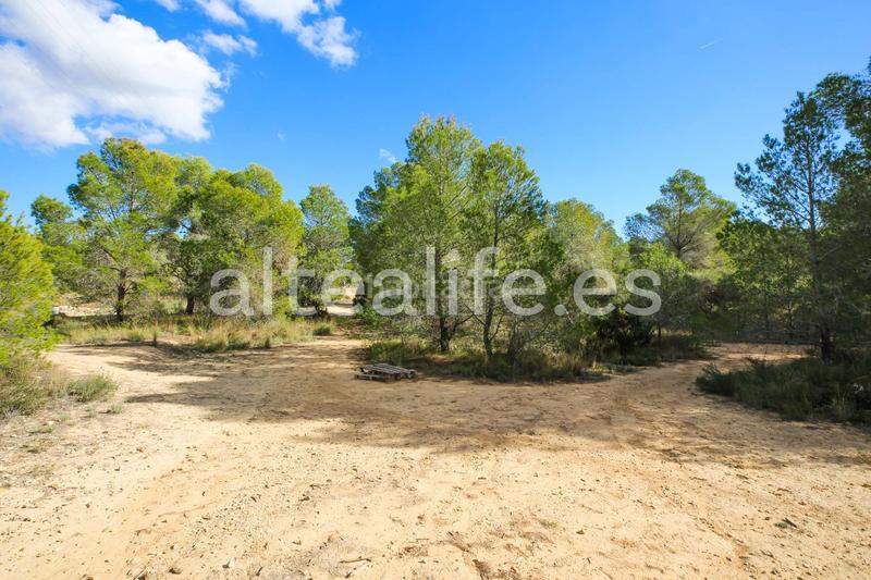 Foto cec932c6-0228-46ce-b854-3ee2a49d6b6f. Fondo rustico in Altea ciudad Altea