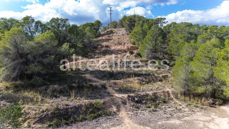 Foto efcf76df-724e-4acb-b11f-aa74e87fddfd. Fondo rustico in Altea ciudad Altea