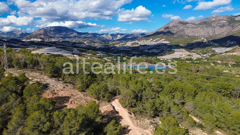 Foto fa020f2a-6d83-4d9a-bab6-a69aff8da0a3. Fondo rustico in Altea ciudad Altea