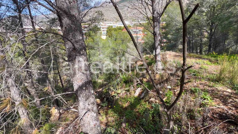 Foto 11561c40-67c4-4b5d-8ee6-9f013edeaff3. Terreny residencial a Altea la vella Altea