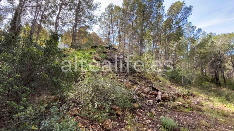 Foto 2459ddcf-f561-4170-b9db-ca2dd82d075f. Terreny residencial a Altea la vella Altea