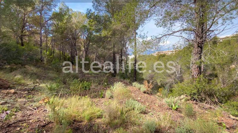 Foto 27d032fe-3a73-41e5-8ea5-01b3c4c3540f. Terreny residencial a Altea la vella Altea