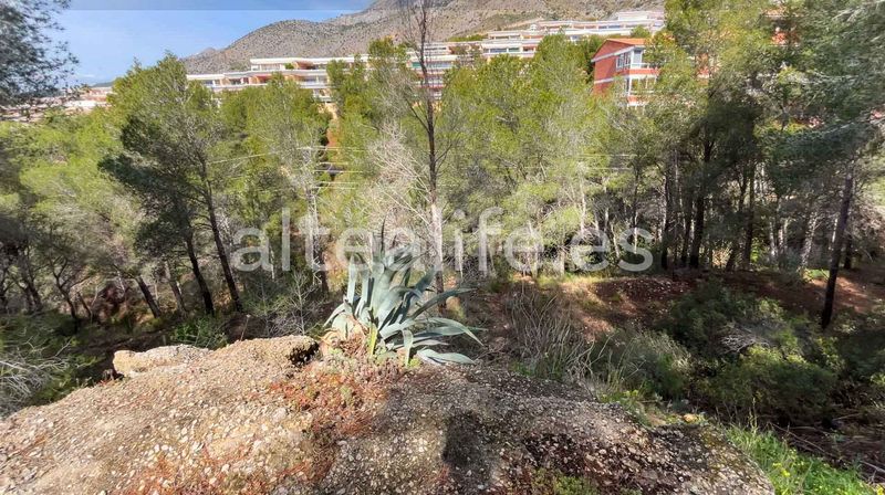 Foto 2e32b218-8f3f-487e-aec9-19a55ee84d33. Terreny residencial a Altea la vella Altea