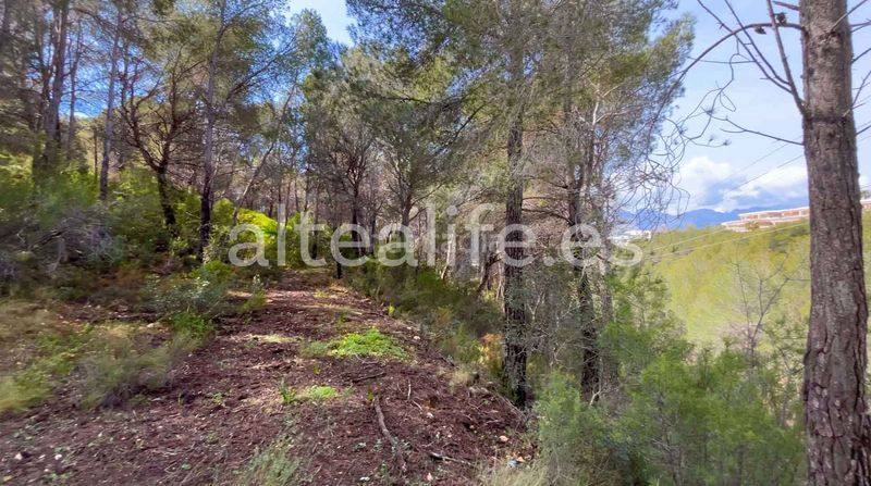 Foto 5f7fae9f-c589-456d-ae18-b527394c6cca. Terreny residencial a Altea la vella Altea