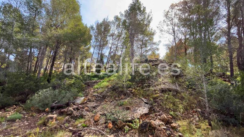 Foto 6a89177f-4ce8-4204-bf7a-c4db62ea64a6. Terreny residencial a Altea la vella Altea