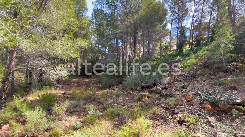 Foto 81aed126-32cd-41ba-8d6e-0c3464d9fd1b. Terreny residencial a Altea la vella Altea