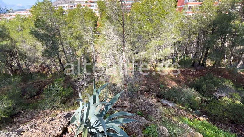 Foto 86295013-8b7a-4ea4-894a-22d8c1a6a9d0. Terreny residencial a Altea la vella Altea