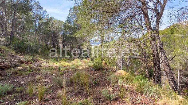 Foto a0faffa0-c817-4586-a4a8-958cbd6e5d04. Terreny residencial a Altea la vella Altea