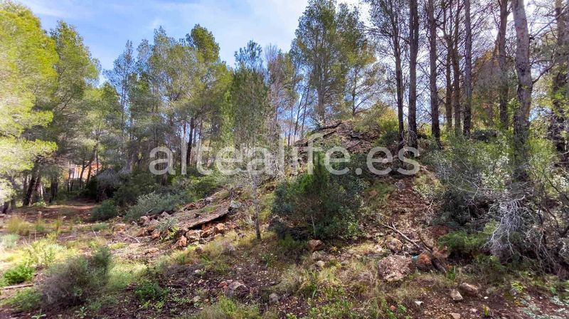 Foto d1c48c0c-bed8-4ccc-9295-7a084c1f9193. Terreny residencial a Altea la vella Altea
