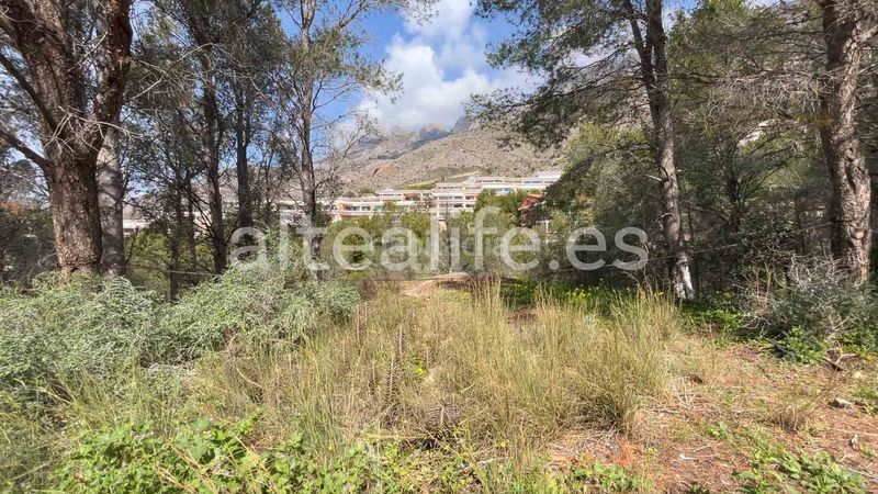 Foto d4fd3015-1d08-4a6d-ac6a-93d169f54d20. Terreny residencial a Altea la vella Altea