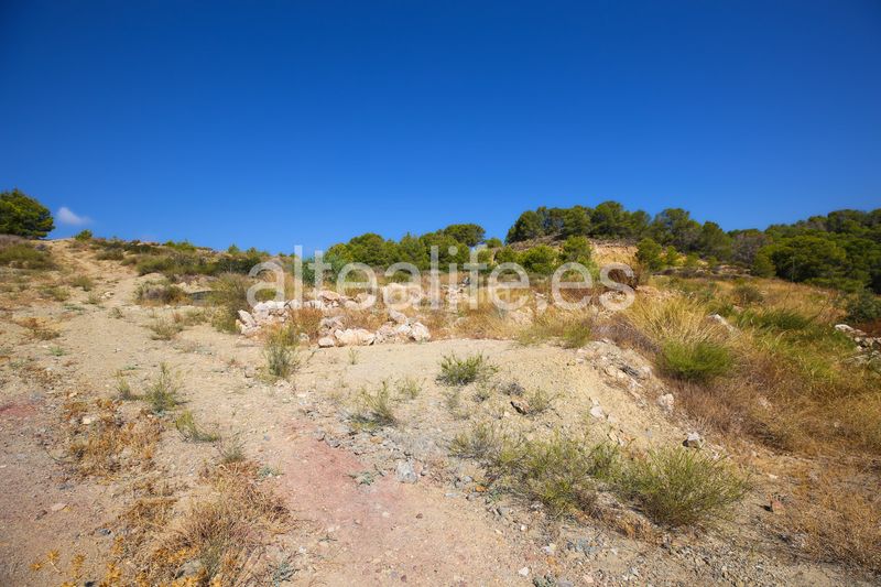 Foto 38568eba-abd2-4105-9513-a2bdfb526185. Finca rústica a Altea ciudad Altea