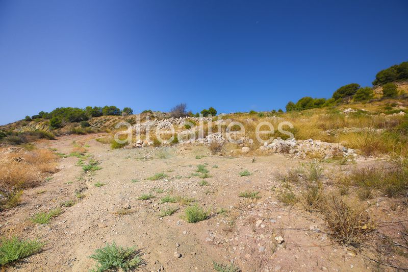 Foto 4356f621-4988-47b1-b348-90f40fddc02e. Finca rústica a Altea ciudad Altea