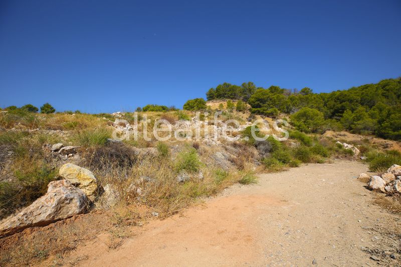 Foto 4e1ef660-0af9-41c1-9d38-751c90e17354. Finca rústica a Altea ciudad Altea